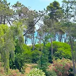 Pianosa * Aléria