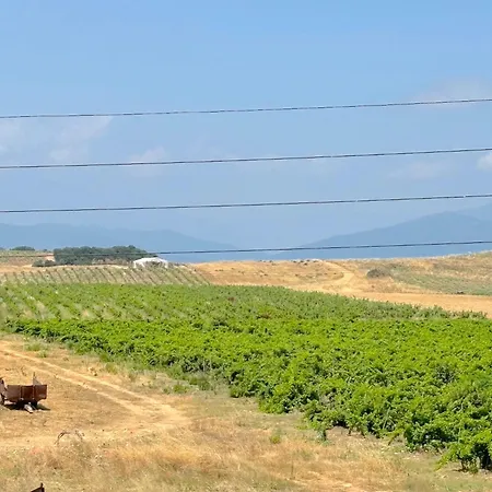 公寓 Pianosa 阿勒里亚