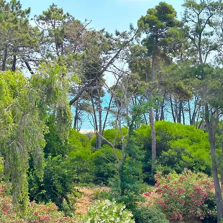 Pianosa * Aléria