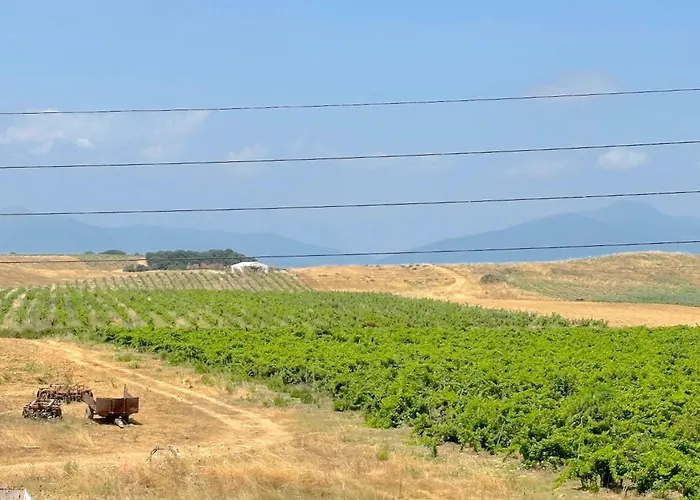 公寓 Pianosa 阿勒里亚