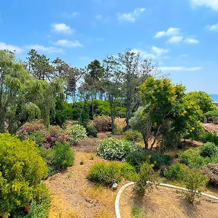 Διαμέρισμα Pianosa *