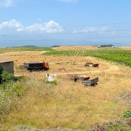 Pianosa Διαμέρισμα