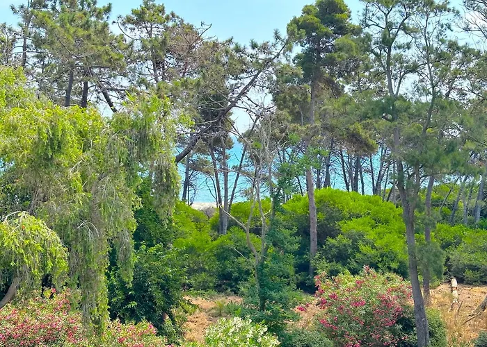Pianosa * Алерия